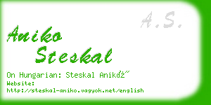 aniko steskal business card